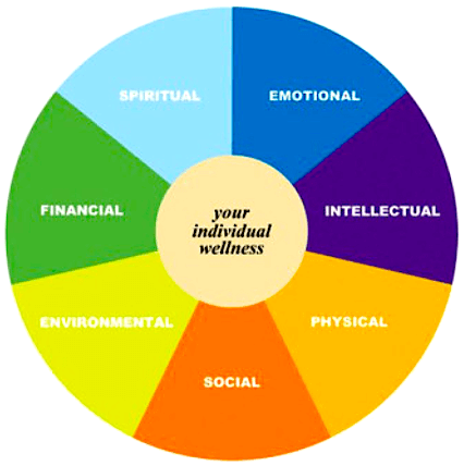 wellness wheel